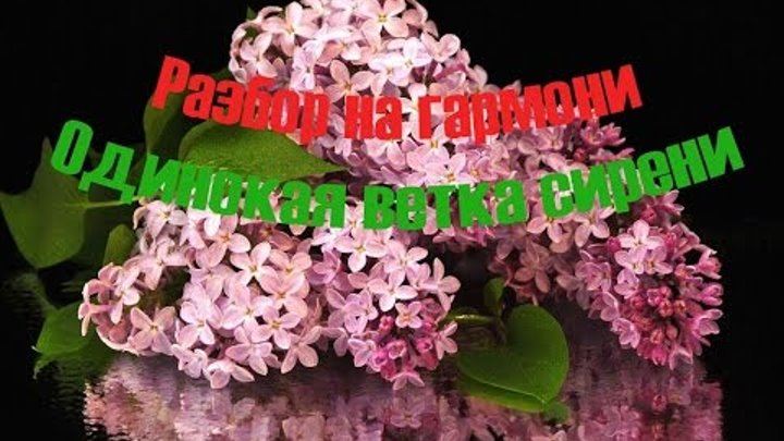 Одинокая ветка сирени ремикс