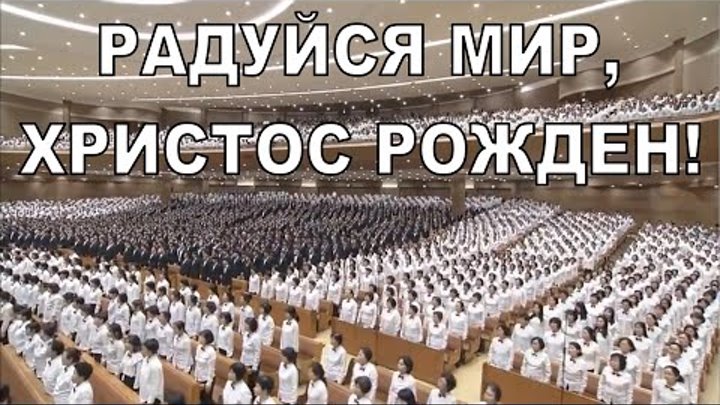 Центральная церковь баптистов г.Сеула. Радуйся мир, Христос рожден!