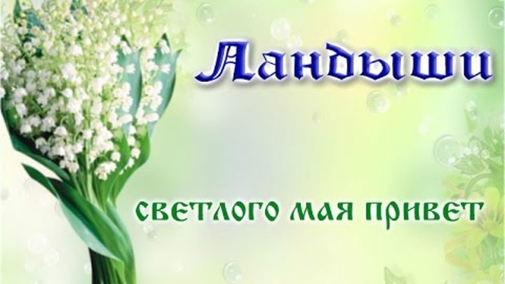 Первого мая цветы песня