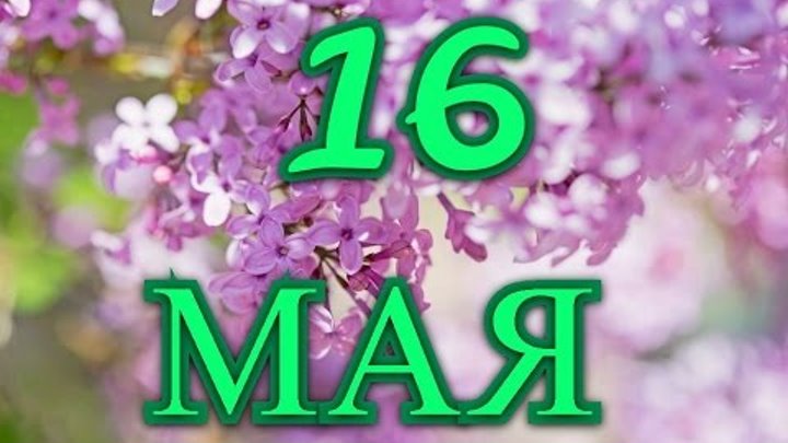 16 5 84. 14 Мая праздник. 17 Мая праздник. 4 Мая праздник. 16 Мая праздник.