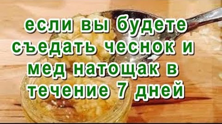 Чеснок натощак польза. Чеснок с мёдом натощак. Мед +чеснок на голодный желудок. Чеснок утром на голодный желудок. Мёд и чеснок полезно есть.