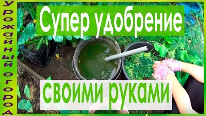 СУПЕР УДОБРЕНИЕ СВОИМИ РУКАМИ -ЗАМЕНА НАВОЗУ!!!