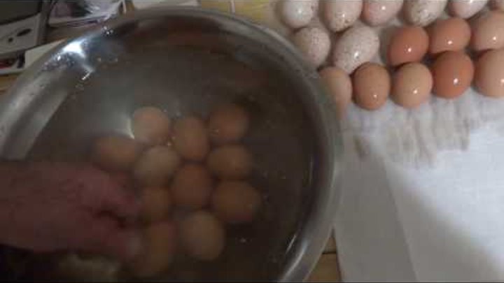 Мыть ли яйца перед инкубатором. Мытье яиц. Дезинфекция яиц перед инкубацией. Обработка инкубационного яйца. Обработка яиц перед закладкой в инкубатор.