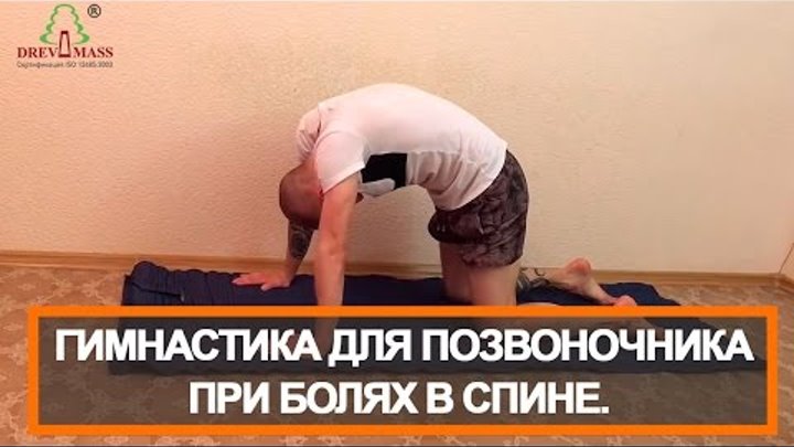 Шишонин упражнения для спины
