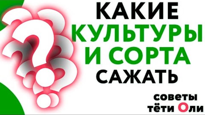 Какие сорта сажать поз зиму☝️