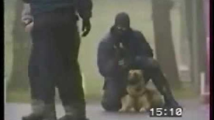 PoliceDog / Работа полицейских собак