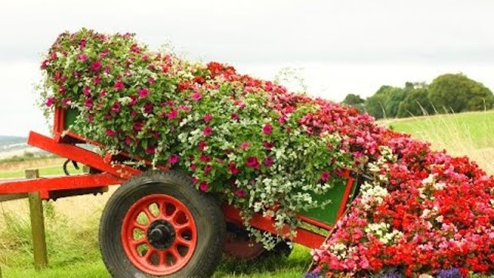 ✿ Идеи для сада✿. ✔Примеры цветочных и садовых композиций | Flower beds