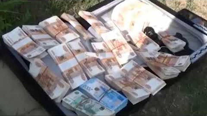 Житель Биробиджана забыл во дворе чемодан с 15 миллионами рублей