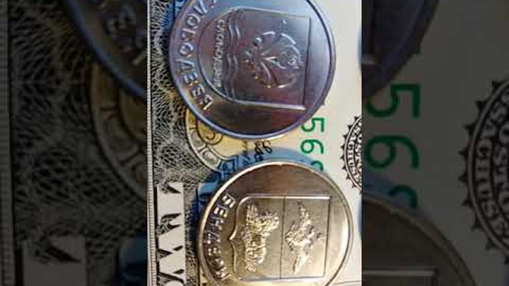 Монеты, 硬币,монеты, Coins,espèce,عُمْلَة,Metálico, Moneten