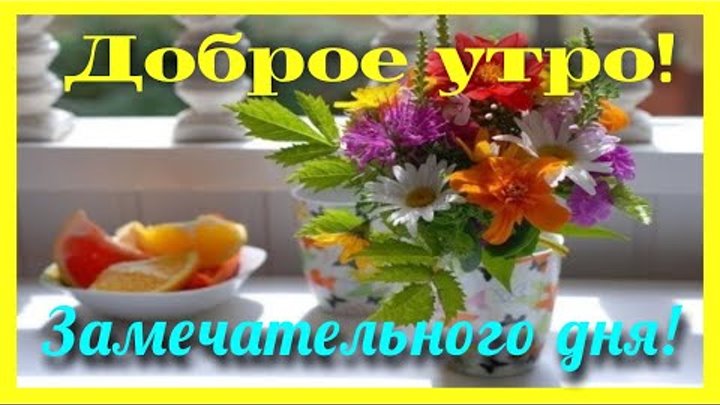 Пожелания на утро видео. Тик ток открытки с добрым утром. Тик ток пожелать доброго утра. Тик ток доброе утро. ТИКТОК поздравления с добрым утром.