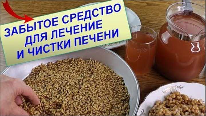 Чистка печени овсом рецепт