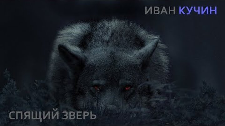 Иван Кучин  - Спящий Зверь