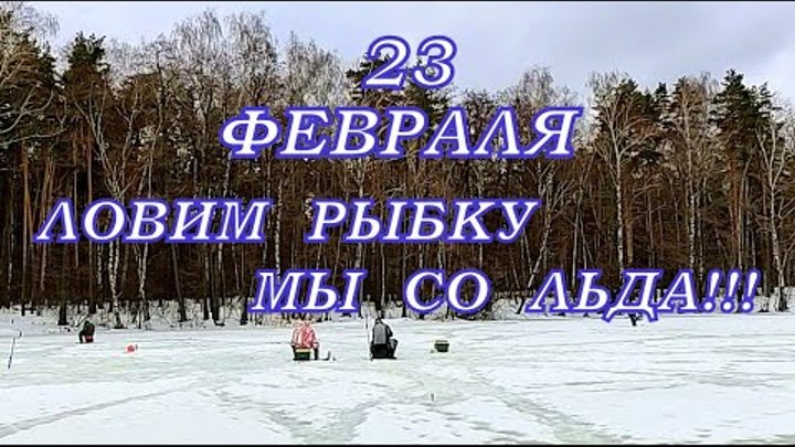 23 февраля, отметили ловлей плотвы и окуня.