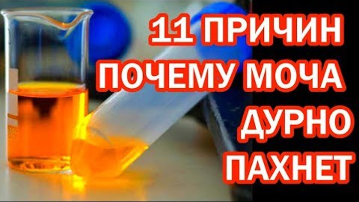 После моча воняет