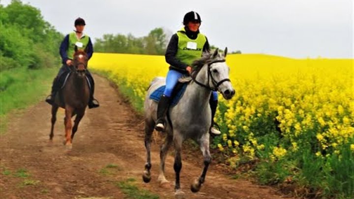 Кубок Георгиевская Сотня 2022 🏇 Команда Эквилайн 🏇