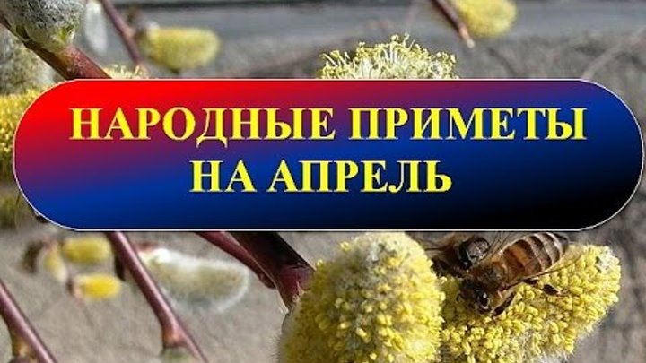 3 апреля народные. Приметы апреля народные. Приметы апреля народные на каждый день. Приметы апреля в картинках. Народные приметы на первое апреля.