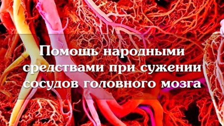 Сосуды головного мозга лечение народными