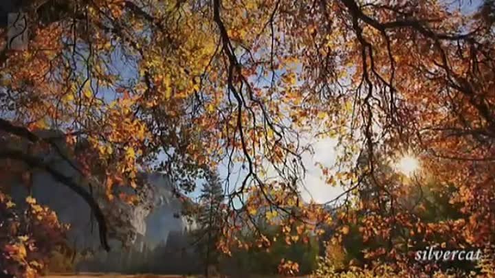 Старинный вальс "Осенний сон" (А.Джойс) - Autumn Dream