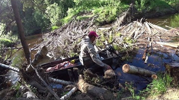 Остановилось время остановились реки. Поход в тайгу. Таежная река. Лодка для сплава. Рыбалка сплавом.