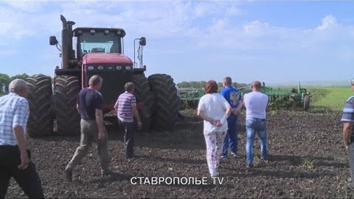 Погода с красное грачевский район ставропольский край. Село Сергиевское Ставропольский край Грачевский район. Село Сергеевское Грачевского района Ставророльского края. В селе Сергиевском Ставропольского края Грачевского округа. Село красное Грачевский район.