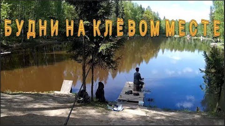 Клевым местам видео. Клевое место рыбалка. Платная рыбалка Лосиный остров. Форелевая рыбалка Лосиный остров. Клёвое место Лосиный остров.