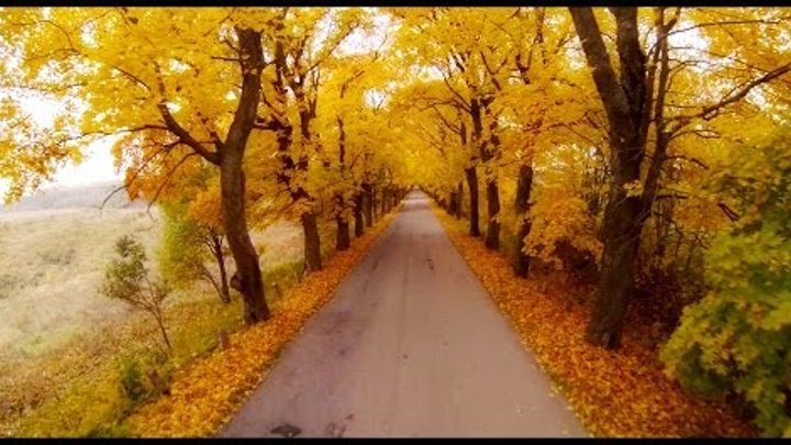Осенняя идиллия - Калининградская область