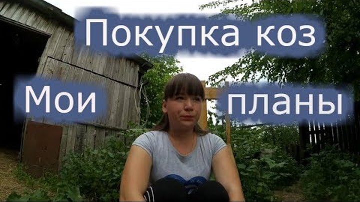 Болтушка часть 1\Как мы покупали коз\Мои планы на коз