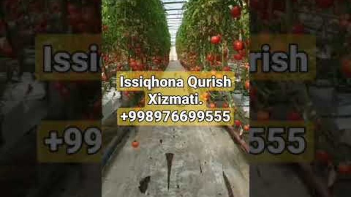 Issiqhona Qurish Xizmati Oʻzbekiston Boʻylab  +998976699555