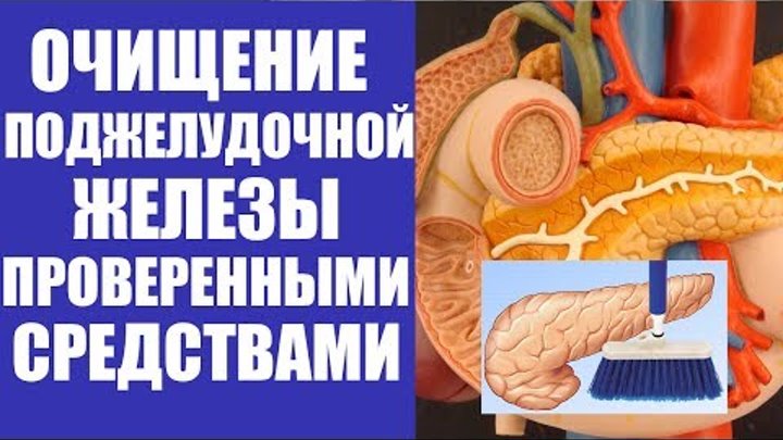 Как эффективно лечить поджелудочную домашних условиях. Очищаем поджелудочную железу. Очищение поджелудочной железы. Чистка поджелудочной в домашних. Как почистить поджелудочную железу.