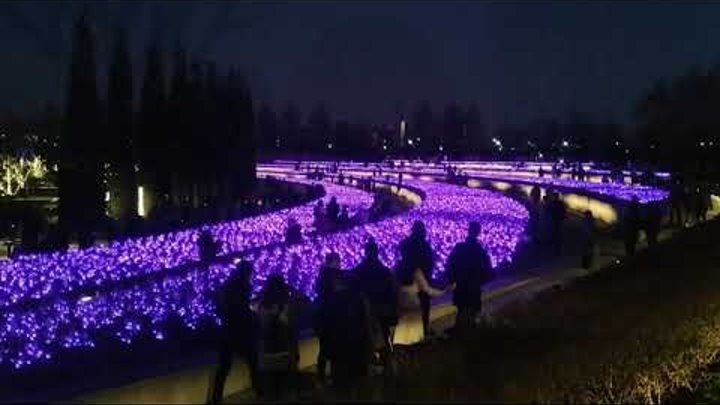 Парк Галицкого в Краснодаре ночью на Новый год 2023