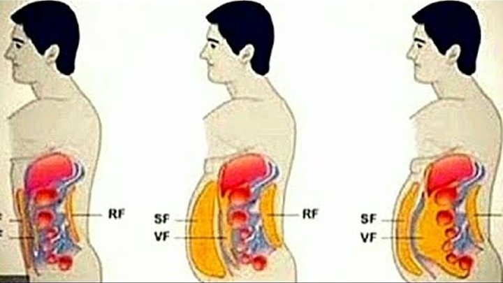 7 привычек от которых РАСТЕТ ЖИВОТ! Убрать живот НАВСЕГДА !