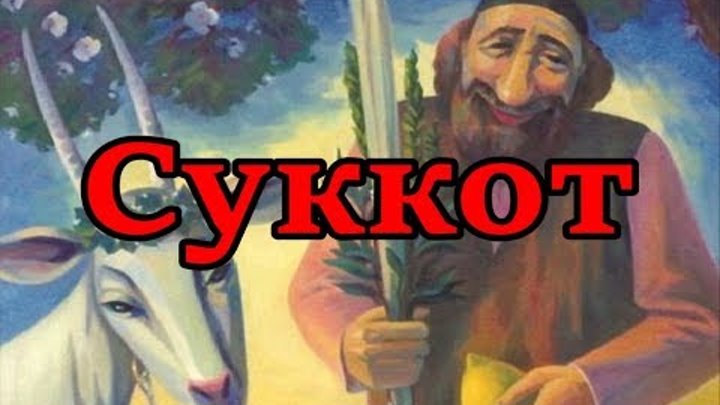 СУККОТ  2017