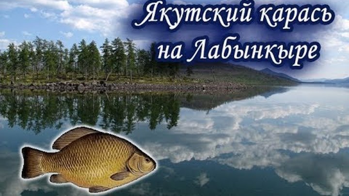 Якутский карась