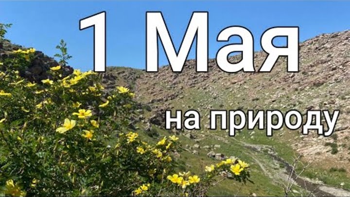 Тараз (Джамбул) ПИКНИК МАЕВКА шашлыки -1 мая 2023 #тараз #taraz #каз ...