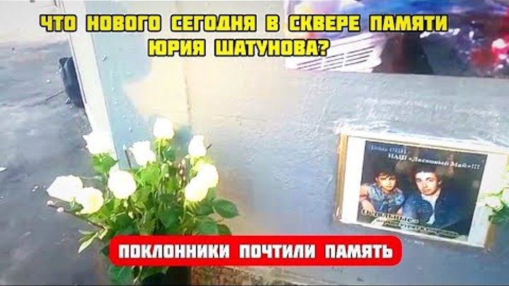 Памяти юрия шатунова видео. Могила Юры Шатунова сегодня. Как выглядит сейчас могила Юрия Шатунова 2023. Могила Юрия Шатунова сегодня. Надпись на могиле Юрия Шатунова.