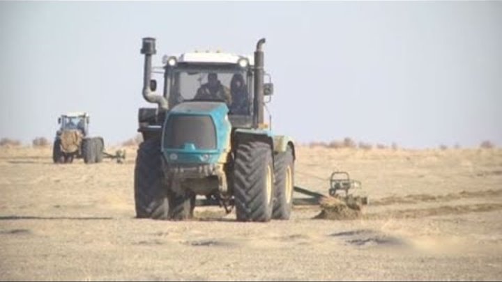 На высохшем дне Аральского моря завершился весенний сев саксаула