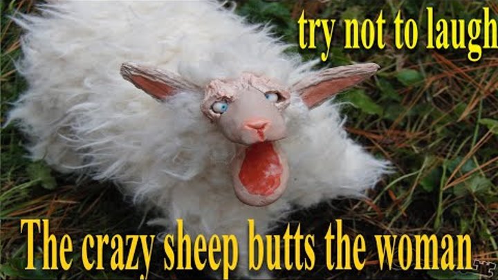 try not to laugh .. The crazy sheep butts the woman