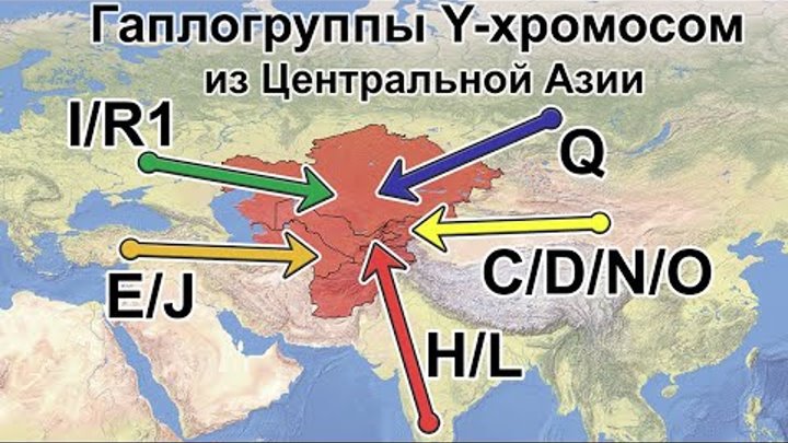 Гаплогруппы Y-ДНК из Центральной Азии. Филогения Y-хромосом в свете  ...