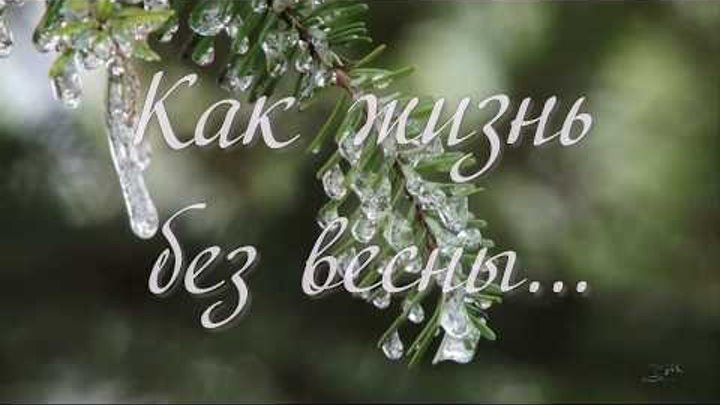 Песня как жить без весны. Жизнь без весны. Как жизнь без весны. Как жизнь без весны картинки.