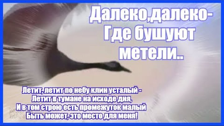 Журавли далеко далеко где бушуют метели