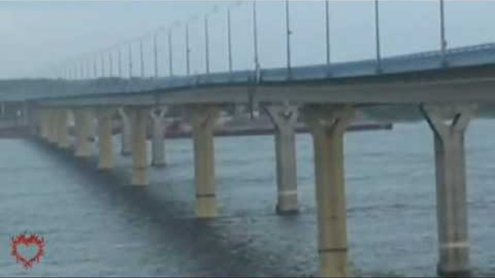 Мост в волгограде танцует видео. Танцующий мост в Волгограде. Плавающий мост в Волгограде. Волгоградский мост шатается. Собака раскачала мост в Волгограде.