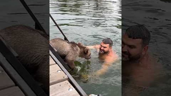 Не пускает меня 😄