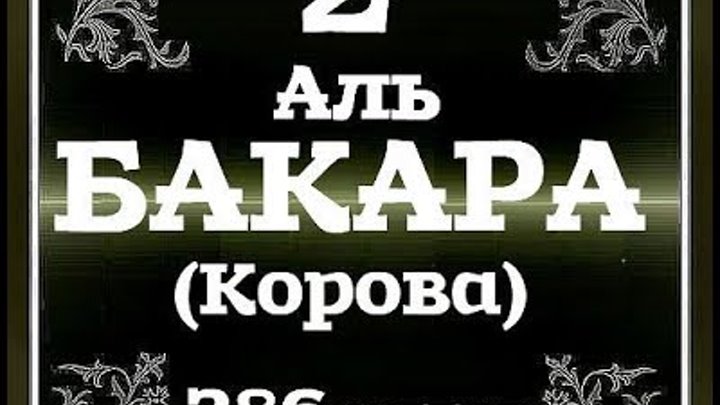 Сура 2 корова. Сура корова Корана чтение. Аль Бакара (корова) 2. Сура Аль Бакара корова. Аль Бакара 285-286.