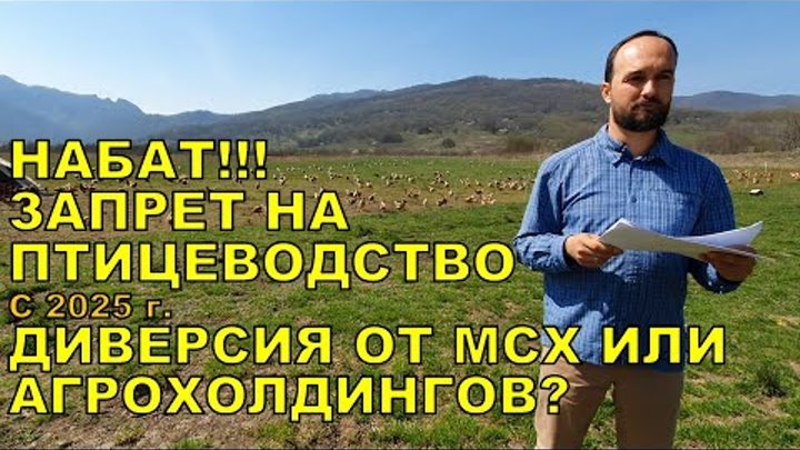 НАБАТ!!! ЗАПРЕТ НА ПТИЦЕВОДСТВО С 2025 ГОДА!!! ДИВЕРСИЯ ОТ МСХ ИЛИ А ...