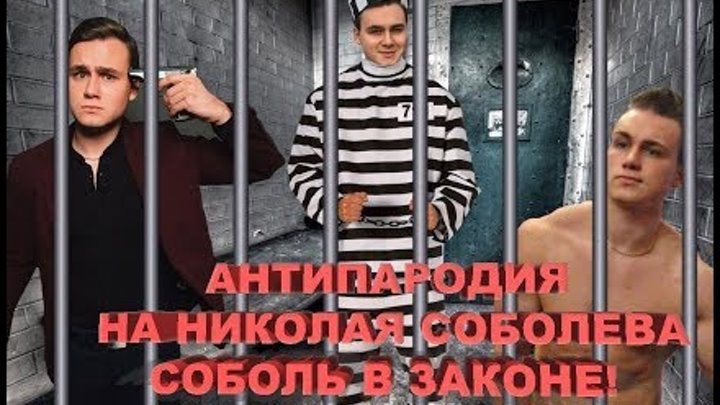 АНТИ ПАРОДИЯ НА НИКОЛАЯ СОБОЛЕВА. Соболь в законе!