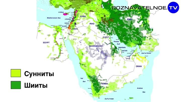 Чеченцы сунниты. Сунниты и шииты. Сунниты на карте. Шииты карта. Карта суннитов и шиитов.