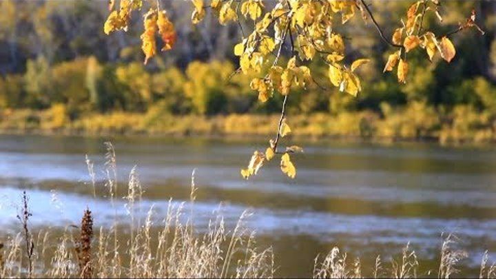 Осенний вальс / Autumn waltz