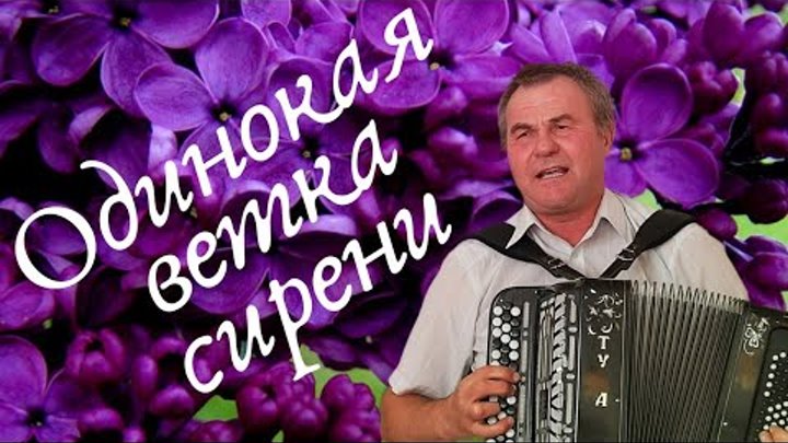 Караоке одинокая ветка сирени петь. Песня одинокая ветка сирени. Ветка сирени песни.