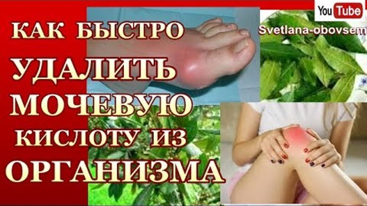 Выводим мочевую кислоту из организма народными. Вывод мочевой кислоты из организма. Вывести мочевую кислоту из организма. Как избавиться от мочевой кислоты в организме. Народные средства выведения мочевой кислоты.