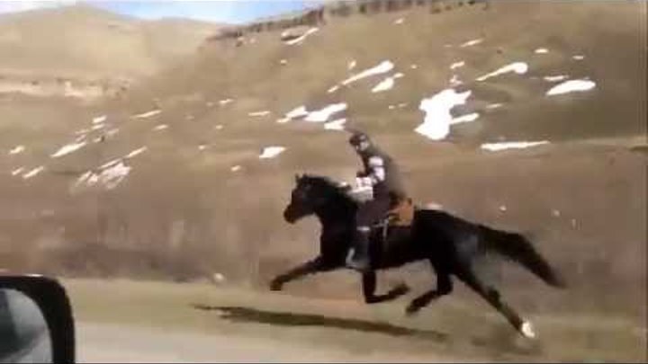 BMW vs жеребец в Кыргызских горах